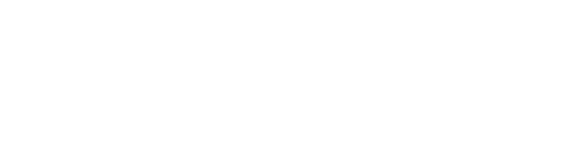 bottom bg